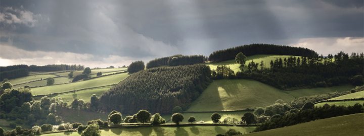 Works of numerous Estonian composers at Presteigne Festival 2018