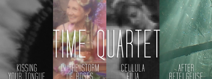 Time Quartet: Estonian Artists’ Films at Whitechapel Gallery